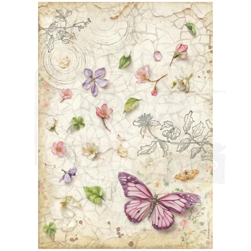 Papier ryżowy do decoupage A4 All Around Motyl DFSA41117 Stamperia