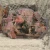 Papier ryżowy do decoupage 24x33 Kwiaty retro LBD534 LaBlanche