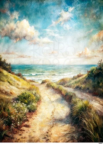 Papier ryżowy do decoupage A5 Sielski widoczek - ścieżka nad morzem 22007