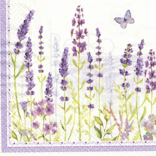 Serwetka 33x33 - Pole lawendy