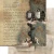 Zestaw papierów do scrapbookingu 20x20 In the library - AA-ITB-08 Alchemy of Art