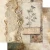 Zestaw papierów do scrapbookingu 20x20 In the library - AA-ITB-08 Alchemy of Art