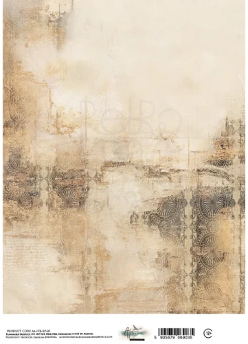 Papier ryżowy do decoupage A4 In the library - Tło vintage AA-ITB-RP-05 Alchemy of Art