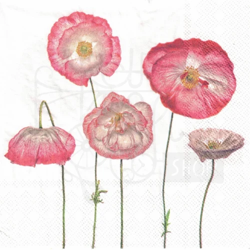 Serwetka 33x33 - Maki 5