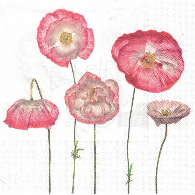 Serwetka 33x33 - Maki 5