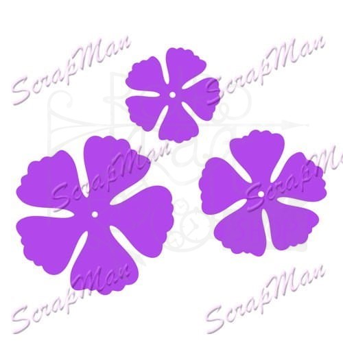 Wykrojniki Flowers 4 ScrapMan