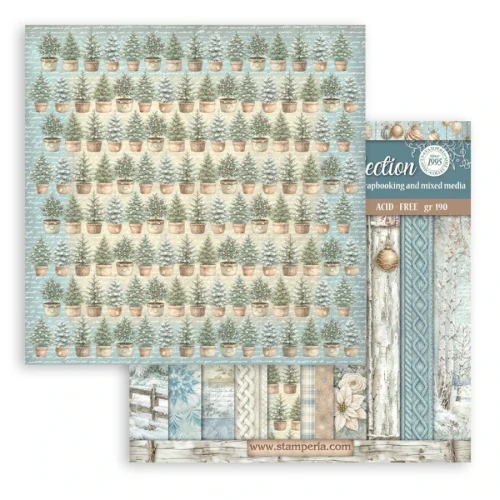 Zestaw papierów do scrapbookingu 20x20 White Christmas Tła 10 arkuszy SBBS147 Stamperia