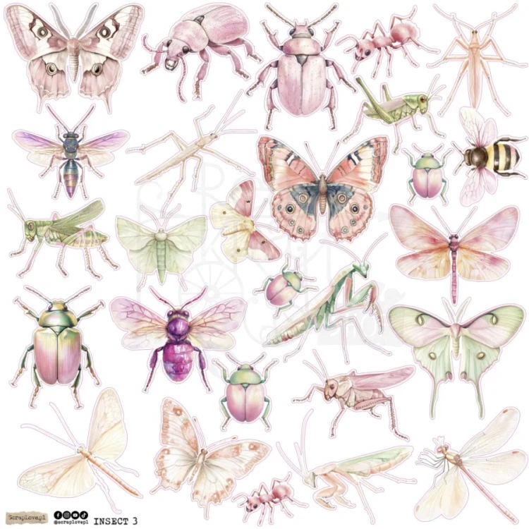 Naklejki papierowe do scrapbookingu i art journalingu Insect 3 ScrapLove