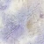 Zestaw papierów do scrapbookingu 20x20 Flowers Of Delight - Basic CC-C85-FOD-08 Craft O’Clock
