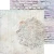 Zestaw papierów do scrapbookingu 20x20 Flowers Of Delight - Mix CC-C85-FOD-09 Craft O’Clock