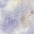 Zestaw papierów do scrapbookingu 20x20 Flowers Of Delight - Mix CC-C85-FOD-09 Craft O’Clock