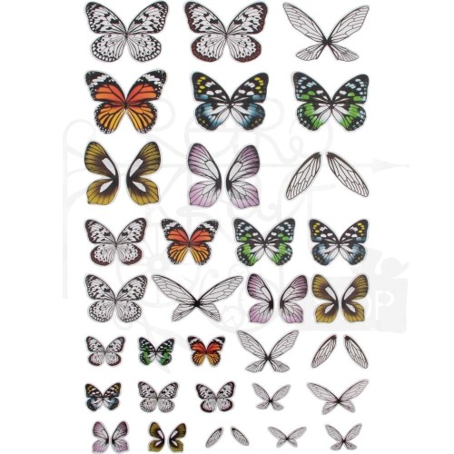 Ozdoby foliowe Idea-Ology Transparent Acetate Wings motyle 72szt TH93785 Tim Holtz