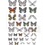 Ozdoby foliowe Idea-Ology Transparent Acetate Wings motyle 72szt TH93785 Tim Holtz
