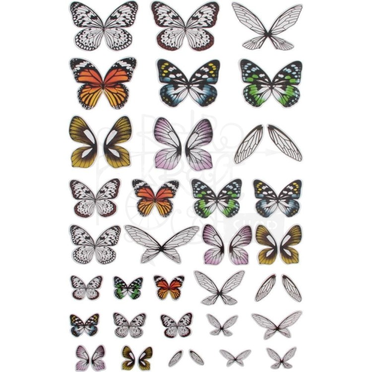 Ozdoby foliowe Idea-Ology Transparent Acetate Wings motyle 72szt TH93785 Tim Holtz