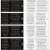 Naklejki Big Talk Snarky - TH93797 Tim Holtz