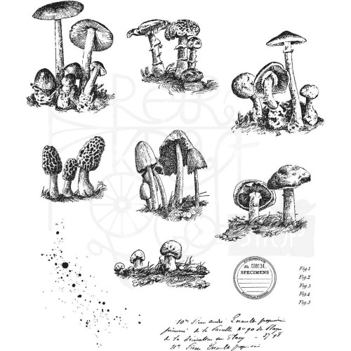 Stempel gumowy kauczukowy Tiny Toadstools grzyby CMS377 Tim Holtz Stampers Anonymous
